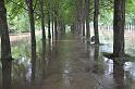 Hochwasser (188)